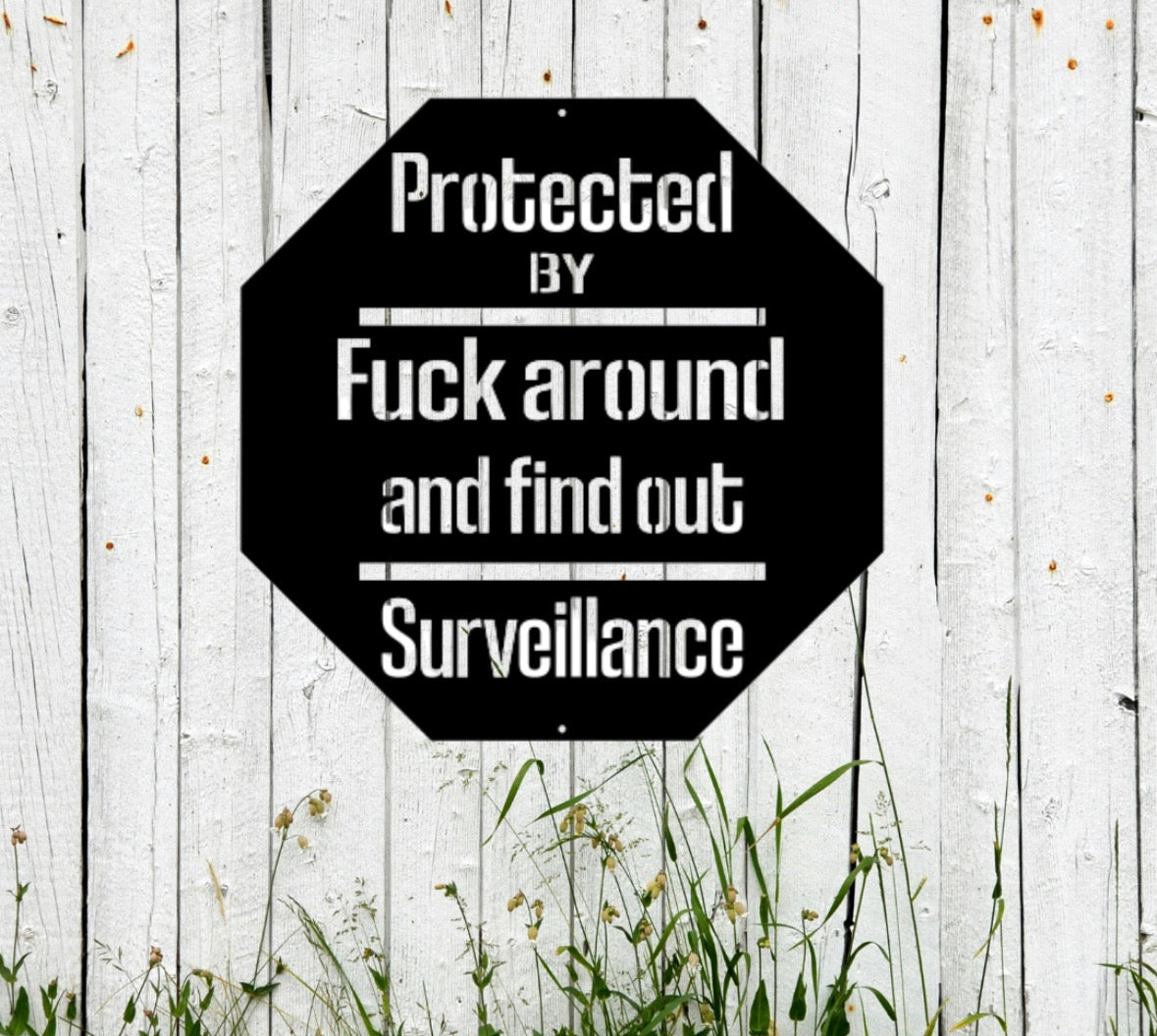 Protected By Fuck Around And Find Out Surveillance