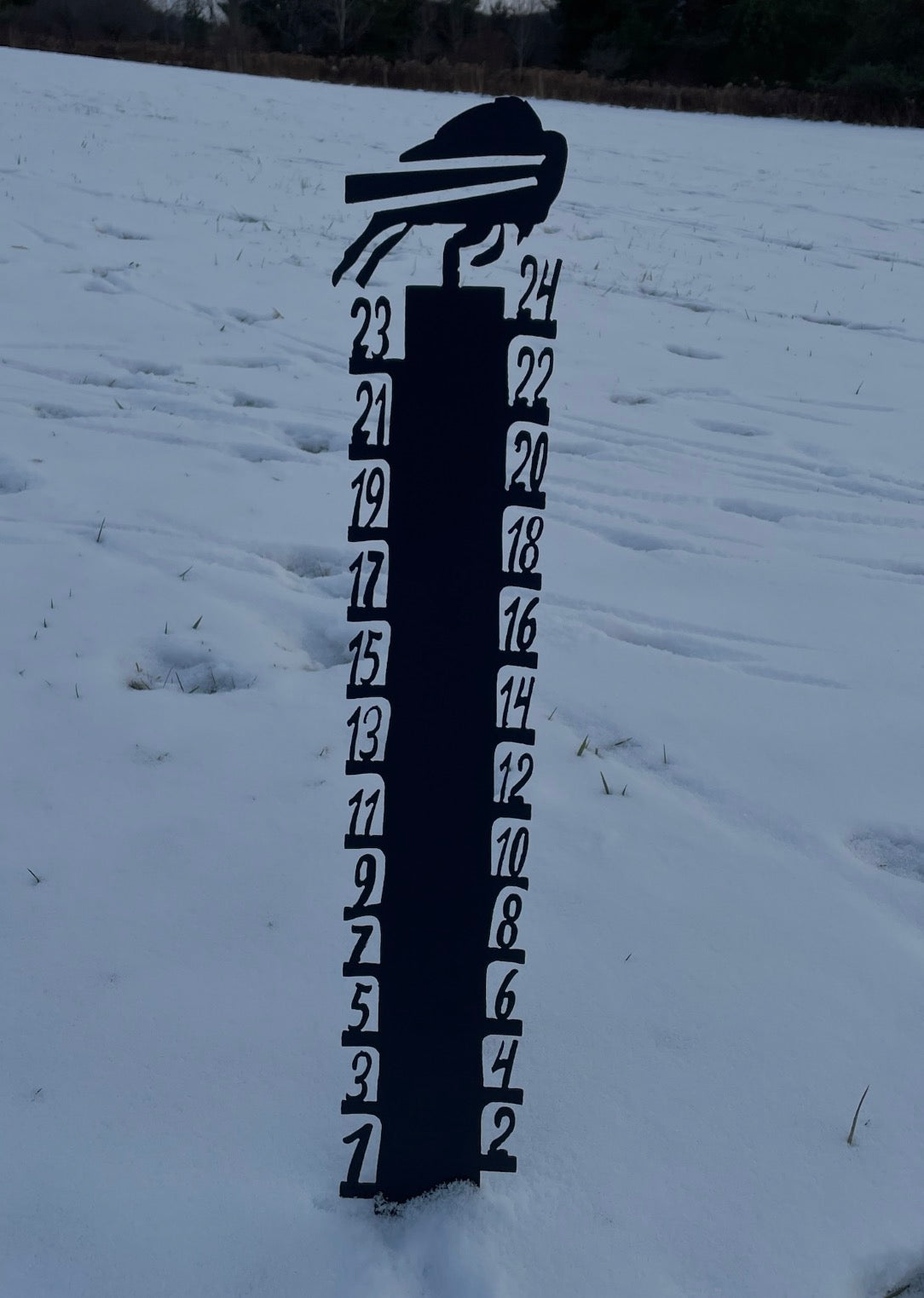 Buffalo Bills Snow Gauge