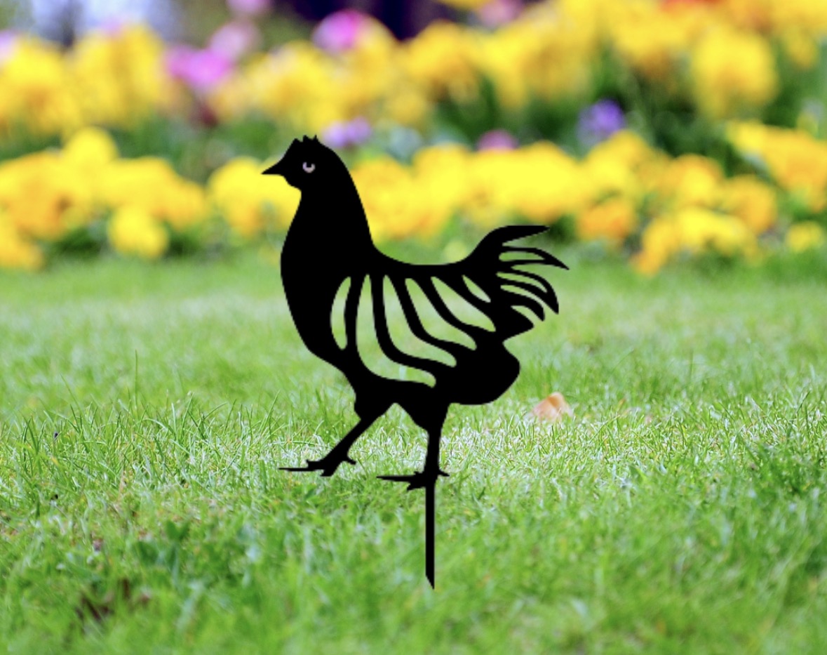 Rooster Yard Stakes