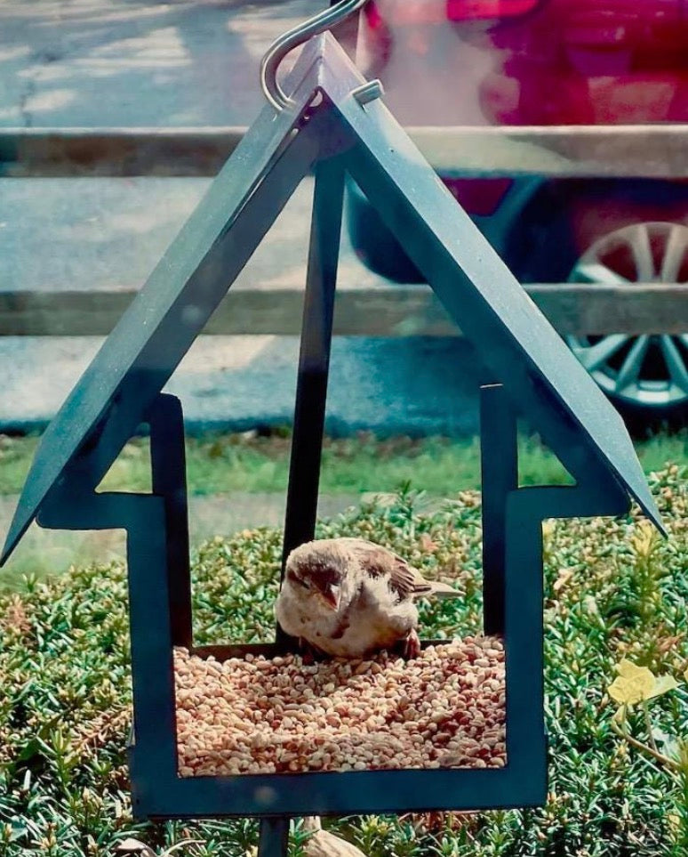 Metal Bird Feeder